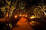 The Bridge to Dinner