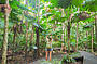 Go Wild 3 Day/2 Night @ Cape Trib Beach House (Dorm Share)