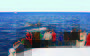 Whale Watching Sydney Harbour AM