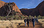 Walk into Mutitjulu Waterhole along the Kuniya walk