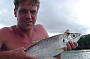 Tarpon